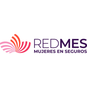 LOGO REDMES (2)